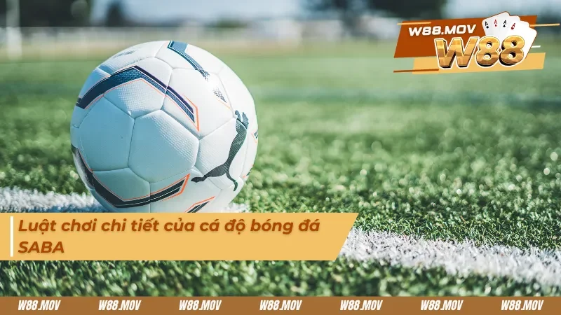 Luật chơi chi tiết về bóng đá ảo SABA 