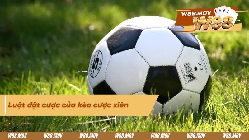 Luật đặt cược cơ bản trong cược xiên 